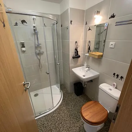 Wolf House Klinovec Guest house *