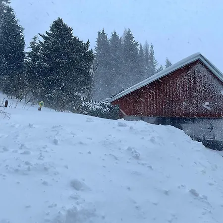 بيت ضيافة Wolf House Klinovec