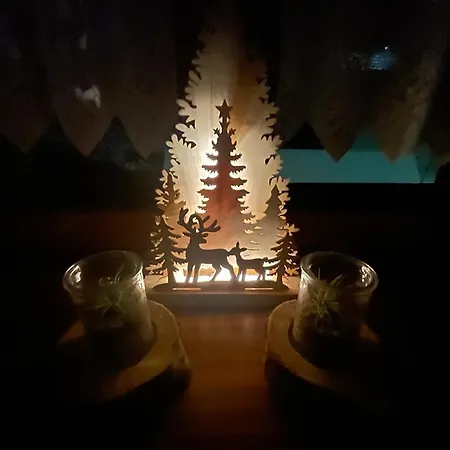 بيت ضيافة Wolf House Klinovec 3*