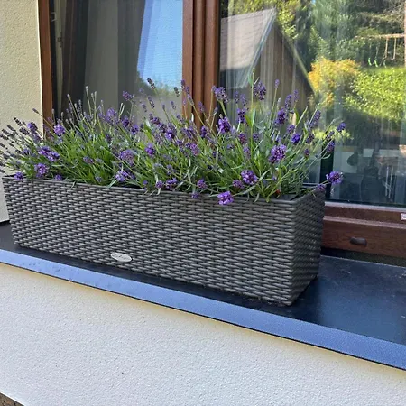 Wolf House Klinovec بيت ضيافة 3*