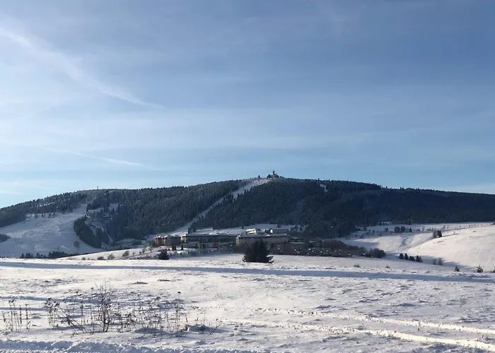 Pensjonat Wolf House Klinovec Loučná pod Klínovcem