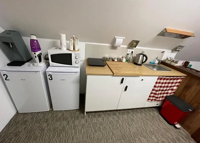 Pensjonat Wolf House Klinovec Loučná pod Klínovcem