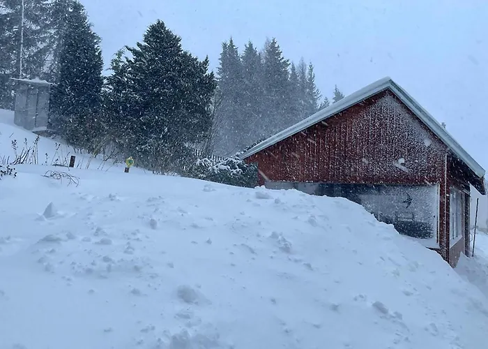 Pensjonat Wolf House Klinovec