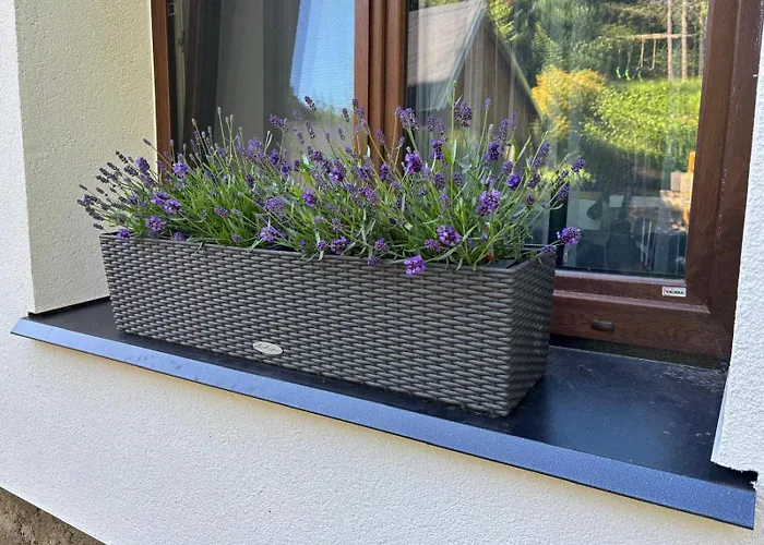 Wolf House Klinovec Pensjonat 3*